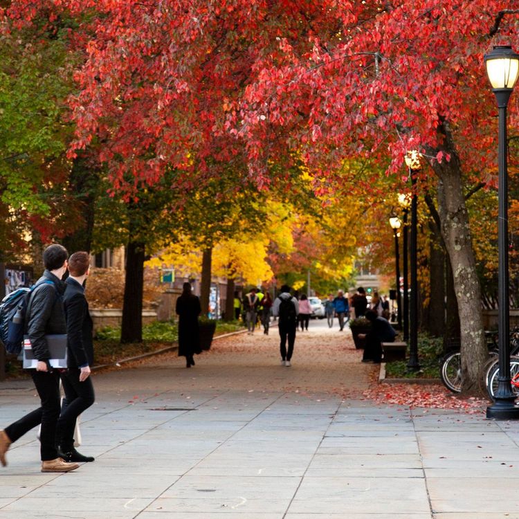 Yale University Photo Three