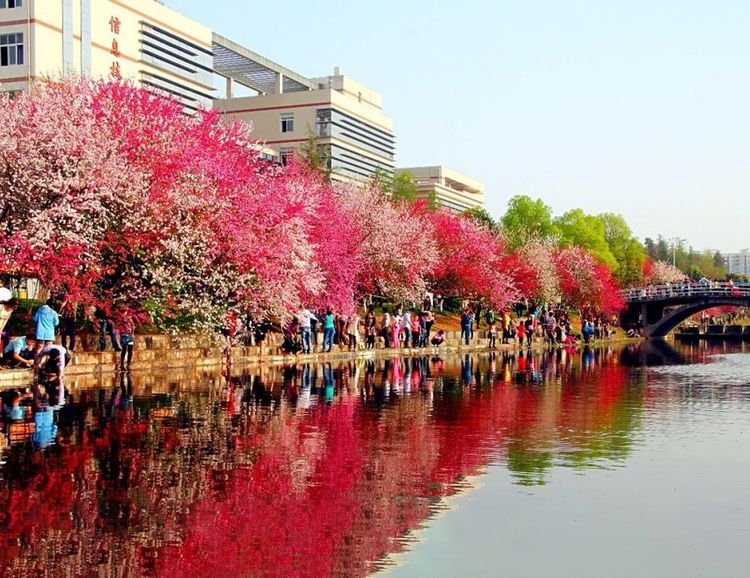 China Three Gorges University Photo Three